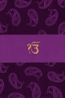 SWC-Beautiful Sikh Wedding Card 9021VCS