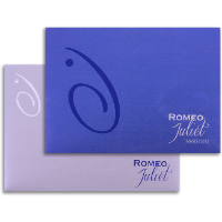 CZC-Refined Sober Wedding Invitation 9041BS
