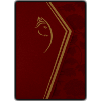 Stunning Metallic Wedding Invite 9048RW