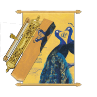 Peacock Theme Scroll Invitation SC-6015