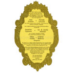 AWI-Stylish Box Wedding Invite 9373