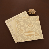 Elegant Pastel Wedding Invite 23043